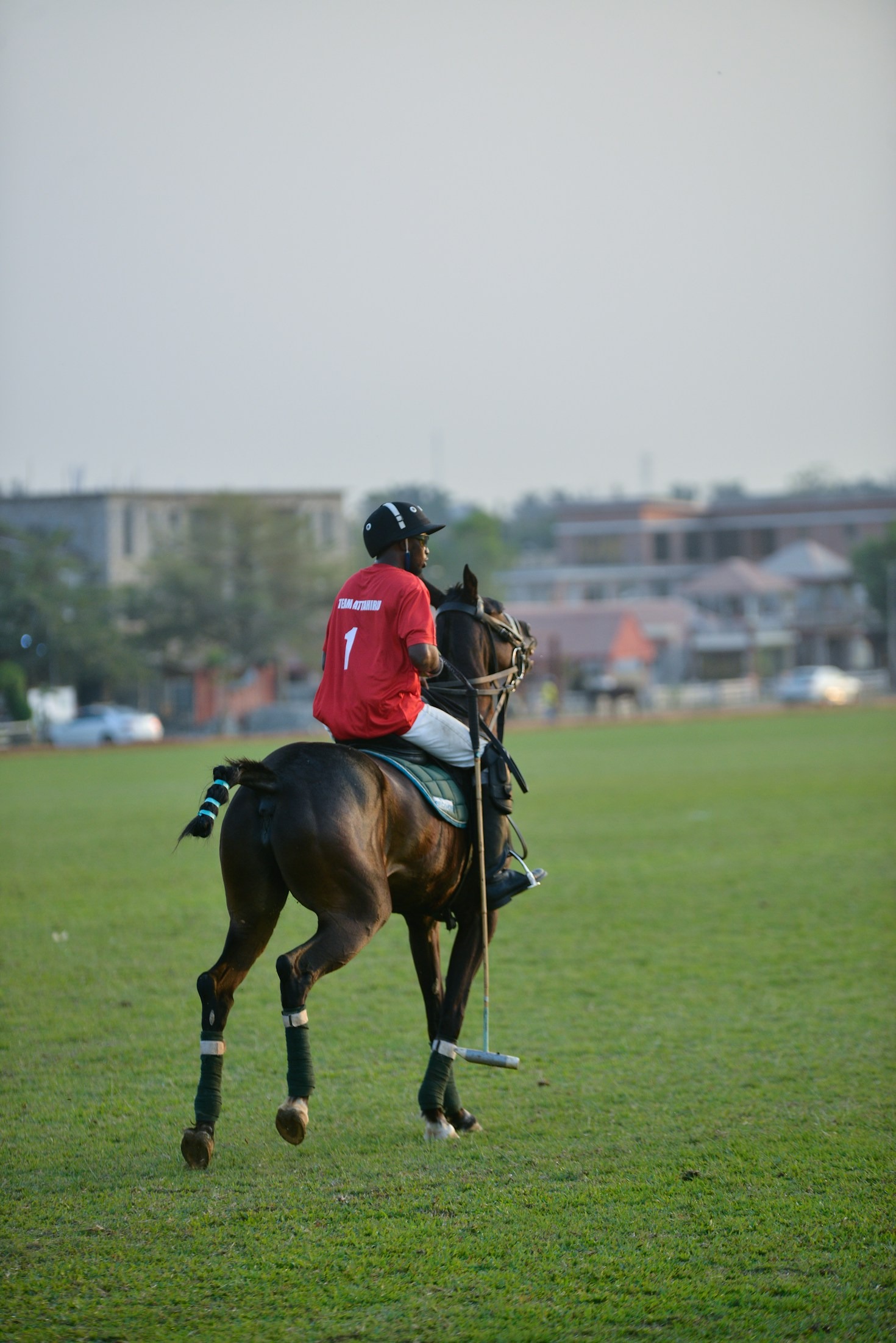 Secrets of Successful Polo Players