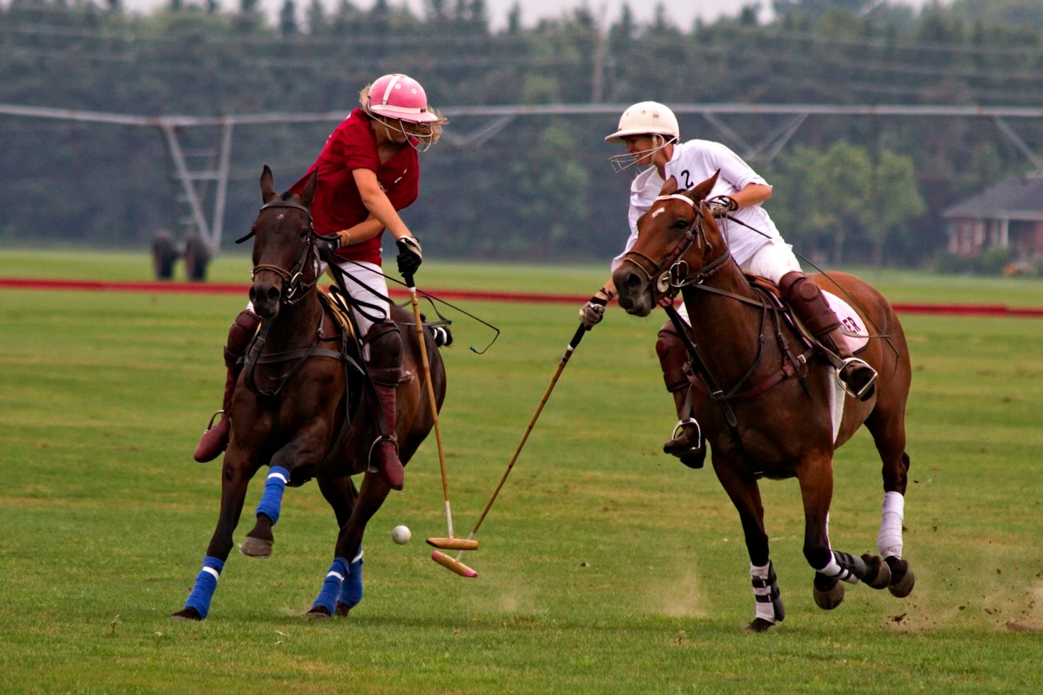 A Beginner’s Guide to Understanding Polo