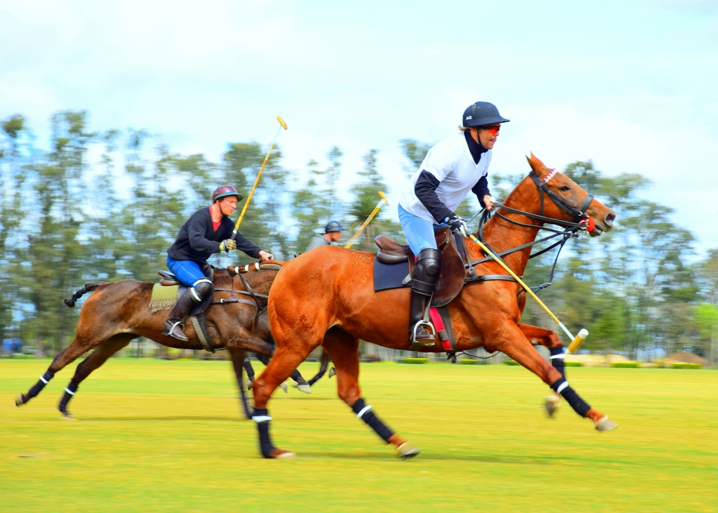 The Role of Traditions in Modern Polo